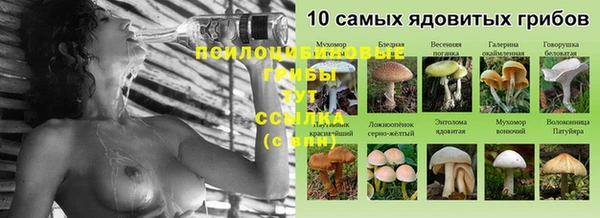 прущая мука Приозерск