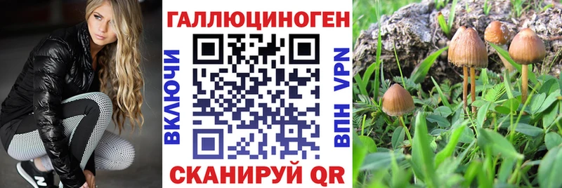 Псилоцибиновые грибы прущие грибы Зеленоградск
